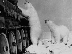 Ada Fakta Mencengangkan di Balik Foto Jadul Ini