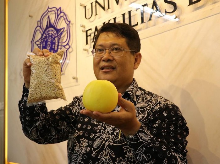 Prof. Dr. Budi Setiadi Daryono, M.Agr.Sc, inventor melon Hikapel dari Fakultas Biologi UGM, Senin (9/1/2023).