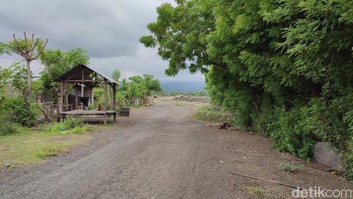 Savana Tianyar Bali