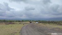 Jadi, Savana Tianyar Bali yang berlokasi di Kubu, Kabupaten Karangasem mungkin memudar pesonanya lambat laun karena lanskap yang tak lagi alami. Lembah di bawah Gunung Agung itu akan bolong-bolong karena digerus penambangan.