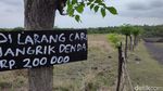 Savana Tianyar Bali, Kondisimu Kini