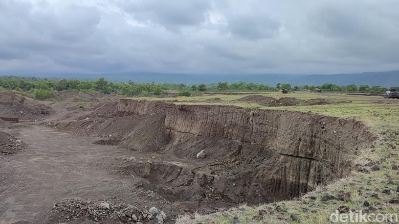 Savana Tianyar Bali Savana Tianyar Bali