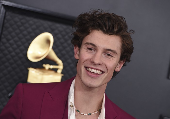 Shawn Mendes Shawn Mendes attends the premiere of