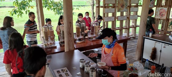 Teh Oolong yang ditanam di Singha Park telah komoditi yang terkenal di dunia. Di sini juga ada tempat untuk mencicipi teh dan meraciknya secara langsung.