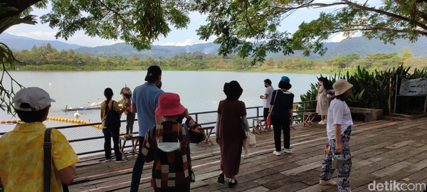 Ada beberapa empang di Singha Park. Di dalamnya terdapat aneka ikan air tawar dan angsa. Air di dalamnya digunakan untuk menyiram tanaman di seluruh taman. Ada beberapa empang di Singha Park. Di dalamnya terdapat aneka ikan air tawar dan angsa. Air di dalamnya digunakan untuk menyiram tanaman di seluruh taman.