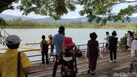 Ada beberapa empang di Singha Park. Di dalamnya terdapat aneka ikan air tawar dan angsa. Air di dalamnya digunakan untuk menyiram tanaman di seluruh taman.