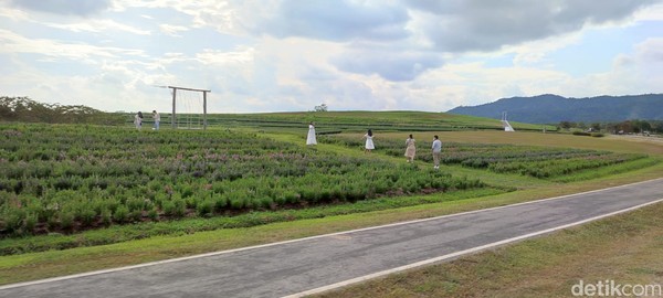 Jika masuk ke dalam, Anda akan menemukan taman bunga yang sangat indah. Taman bunga di Singha Park ini seringkali dijadikan tempat untuk mengutarakan perasaan terhadap pasangannya.