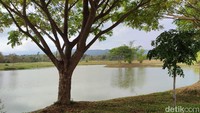 Singha Park Thailand terletak di pedesaan Mae Kon, 12 km dari Kota Chiang Rai.