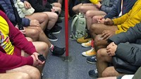 Aksi tak mengenakan celana tersebut dilakukan bukan tanpa alasan. Sejumlah warga melakukan aksi itu merayakan Hari Tanpa Celana di Kereta atau No Trousers Tube Ride.  