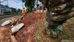 Wow, Ada Taman Hijau di Pinggir Rel Kereta Kebayoran