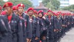 Aksi Semangat Satgas Cakra Buana di HUT PDIP ke-50