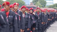 Mereka juga terlihat kompak menyanyikan yel-yel penyemangat menyambut HUT emas partai berlambang banteng moncong putih itu.