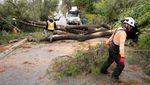 Badai Ekstrem di California Bikin Pohon-pohon Tumbang