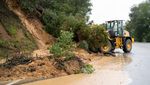 Badai Ekstrem di California Bikin Pohon-pohon Tumbang