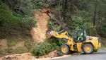 Badai Ekstrem di California Bikin Pohon-pohon Tumbang