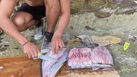 Model keturunan Indonesia-Australia ini juga hobi berpetualang. Saat di Nusa Penida, dirinya memanggang ikan bakar segar di tepi pantai. Foto: Instagram @richo_kyle