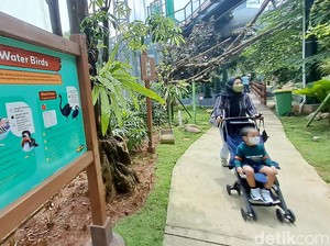 Ancol Sebar 20 Ribu Tiket Gratis Tanggal 3 Februari