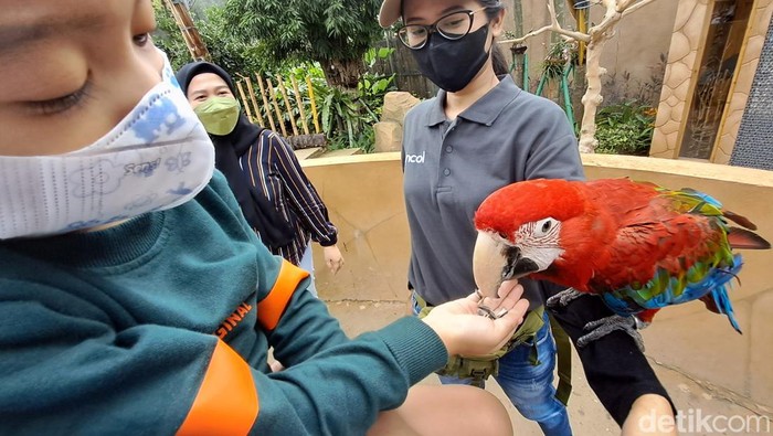 Pengunjung menikmati beragam aneka burung yang ada di Wahana Jakarta Bird Land Ancol, saat akhir pekan.