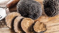 Jamur truffle bukan rahasia lagi jika harganya dibanderol begitu tinggi. Harga jual kondisi segarnya saja per kilogram mencapai Rp 24 juta. Foto: Grocycle