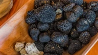 Jamur berjenis truffle yang berasal dari Namibia, Afrika menjadi salah satu jenis jamur yang lebih mahal dari biasanya. Harga per kilogram jamurnya mencapai Rp 120.000. Foto: Grocycle