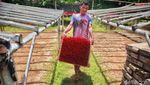 Permintaan Hio Dupa Meningkat Jelang Imlek, Begini Produksinya