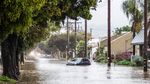 Kala Banjir di California Jadi Arena Selancar