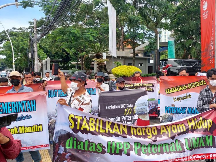 Puluhan Peternak Seruduk Kantor Zulhas Tuntut Stabilkan Harga Ayam