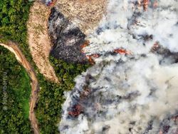 Seram Tapi Keren! Gambaran Kondisi Dunia Usai Kiamat Iklim