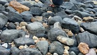 Pemandangan di salah satu tempat foto tebing batu Pantai Menganti.