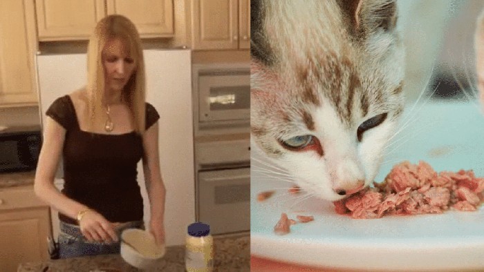 Miris! Jutawan Ini Pilih Makan Makanan Kucing untuk Berhemat