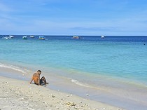 Gawat! Gili Trawangan Krisis Air, Butuh Pertolongan