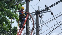 Menurut Direktur Jenderal Ketenagalistrikan Kementerian ESDM, Dadan Kusdiana berdasarkan perubahan 4 parameter di atas seharusnya penyesuaian tarif tenaga listrik (tariff adjustment) triwulan I 2023 mengalami kenaikan dibandingkan dengan tarif tenaga listrik yang ditetapkan pada triwulan IV 2022. Namun kenaikan tersebut tidak dilakukan demi menjaga daya beli masyarakat.