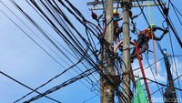 Pekerja melakukan perawatan jaringan kabel listrik di Kosambi, Tangerang, Selasa (10/1/2023). PLN memastikan tarif dasar liatrik (TDL) nonsubsidi tidak naik hingga Maret mendatang.