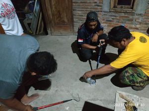Kagetnya Eko Lihat Ular Kobra dengan Belasan Anak Bersarang di Rumahnya
