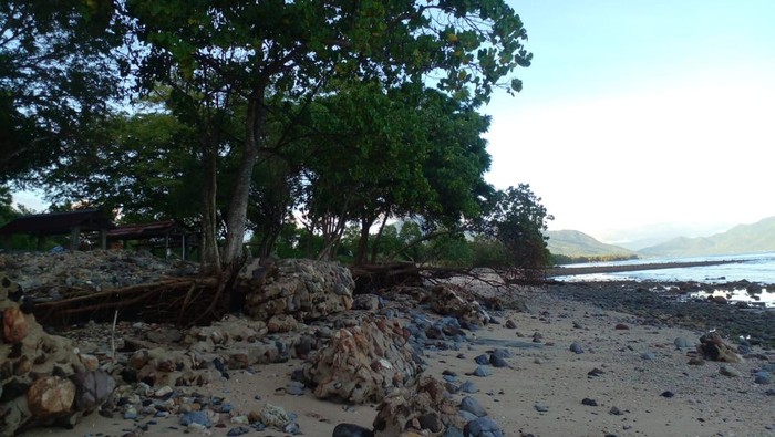 Abrasi di Pantai Desa Lamawohong, kecamatan Solor Barat, Kabupaten Flores Timur, Nusa Tenggara Timur menyebabkan sejumlah kuburan rusak.