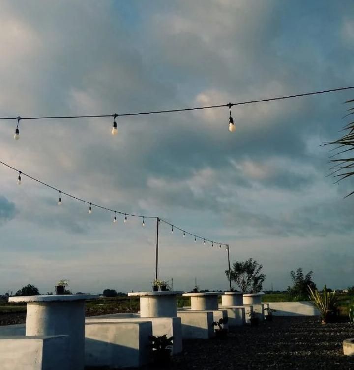 cafe dengan pemandangan sawah (istimewa)