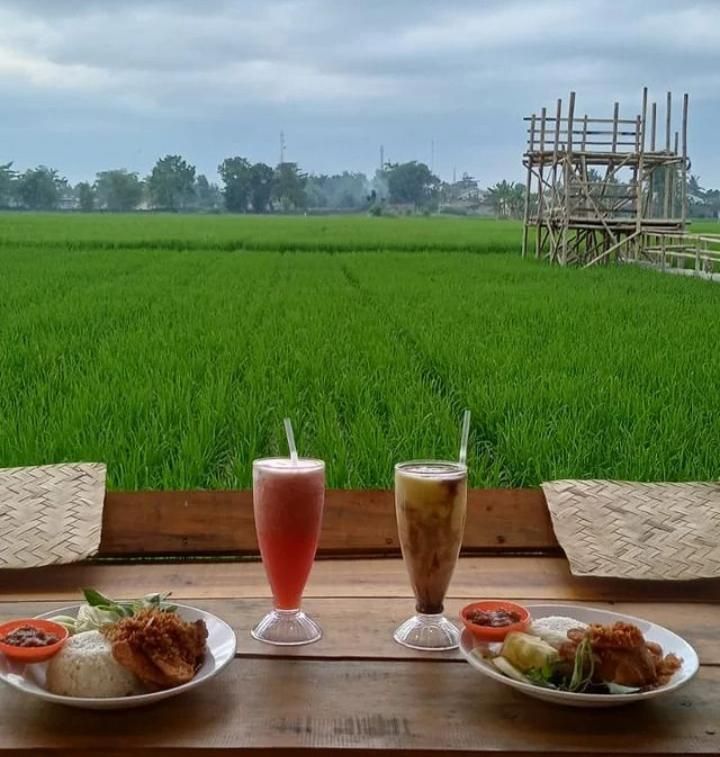 cafe dengan pemandangan sawah (istimewa)