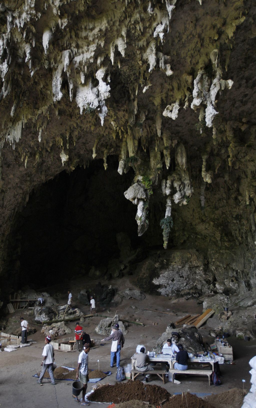 Dalam foto yang diambil 14 September 2009 ini, para pekerja bekerja di lokasi penggalian gua Liang Bua tempat ditemukannya sisa-sisa Homo floresiensis di Ruteng, pulau Flores, Indonesia. (AP/Achmad Ibrahim)