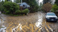 Layanan Cuaca Nasional (NWS) menyebutkan di California selatan, hembusan angin berkecepatan lebih dari 64 km per jam di banyak tempat. AP/Nic Coury