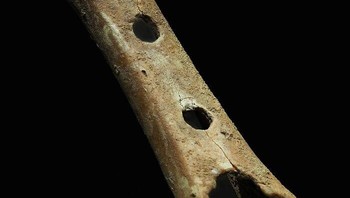 Seruling Divje Babe (50 ribu SM): Benda ini adalah sepotong tulang paha beruang gua dan berusia sekitar 50.000 tahun. Karena persepsi orang tentang manusia Neanderthal bergeser dari barbar tidak beradab ke individu yang lebih cerdas, ada kesepakatan luas bahwa seruling Divje Babe adalah alat musik. Ditemukan di sebuah gua di Slovenia pada tahun 1995, seruling Divje Babe mungkin merupakan alat musik tertua. Foto: Bored Panda