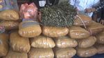 Penampakan 36 Kg Ganja yang Ditemukan di Perpustakaan SD di Sumbar