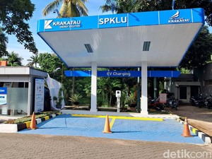 Mobil-Motor Listrik Bisa Kena Pajak, DPRD Bali Usul Tarifnya Lebih Murah