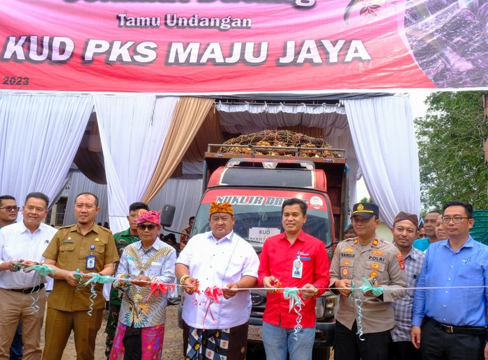 Koperasi Unit Desa (KUD) Perkebunan Kelapa Sawit Maju Jaya, plasma dari PT Buluh Cawang Plantation milik Wilmar Group di Ogan Komering Ilir (OKI) melakukan panen perdana hasil replanting (peremajaan) kelapa sawit.
