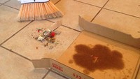 Fungsi lain boks bekas pizza. Foto: Dok. Brightside