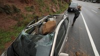 Sebuah mobil yang tengah terparkir di Pacific Coastal Highway di Malibu, California, tertimpa batu besar.