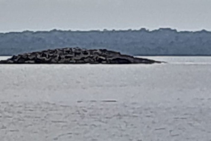 Penampakan Fenomena Pulau Baru Muncul di Tanimbar Akibat Gempa M 7,5 Maluku 10 Januari 2023
