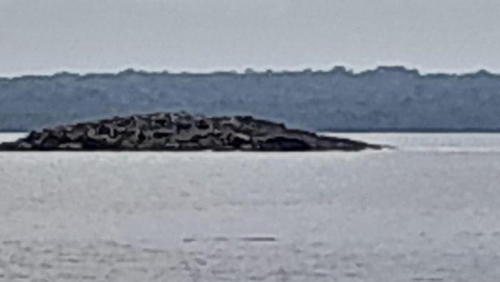 Penampakan Fenomena Pulau Baru Muncul di Tanimbar Akibat Gempa M 7,5 Maluku 10 Januari 2023