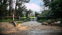 Pohon tumbang dan jalanan berlumpur di Montecito, California, AS. Erica Urech/Getty Images