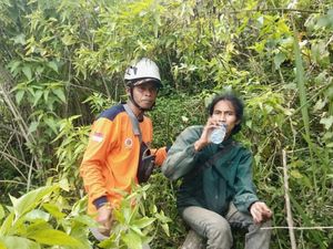 Cerita Pemuda Tersesat 2 Hari di Gunung Merapi: Ngikutin Burung