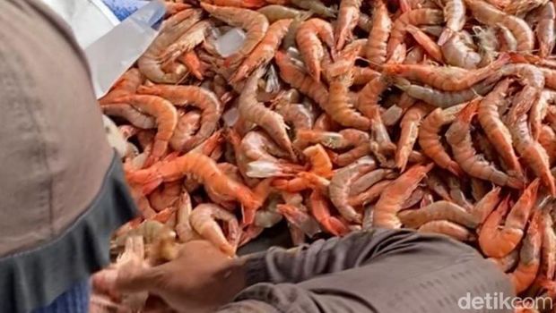 Udang vaname budi daya tambak di Desa Kaliwlingi, Brebes, mati akibat serangan virus. Foto diunggah Rabu (11/1/2023).